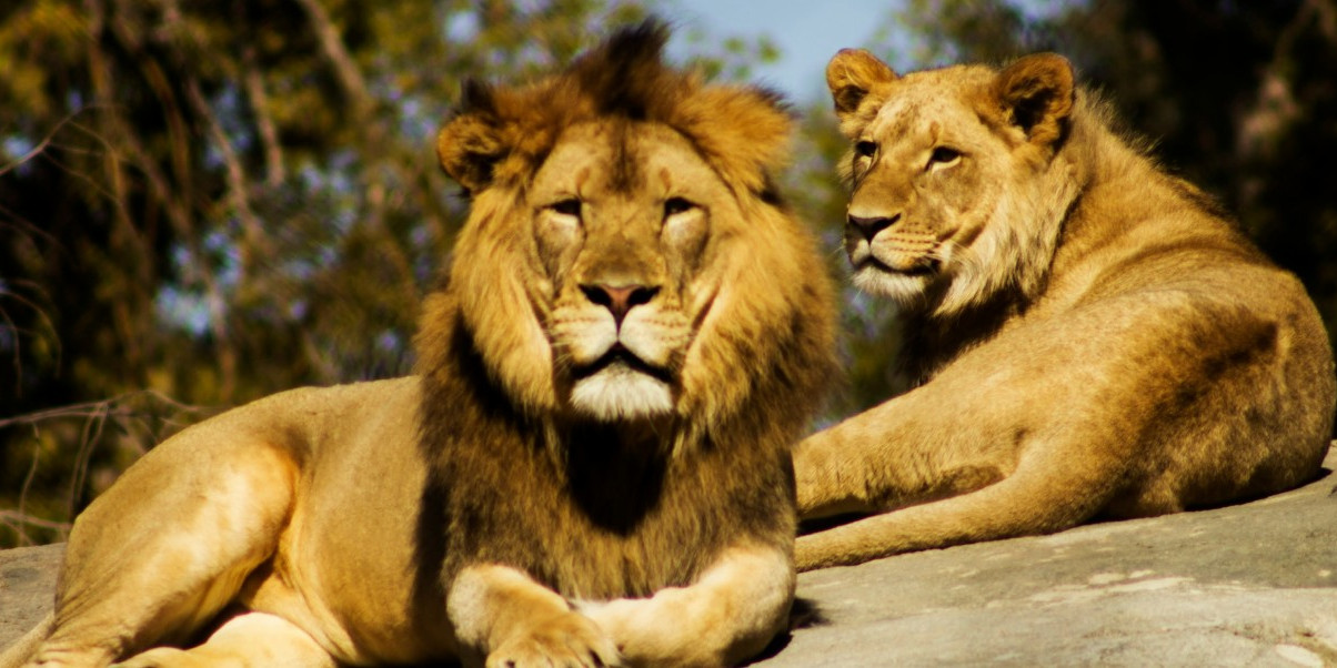 La Bourbansais Zoo