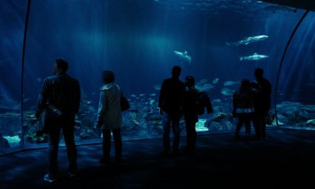 Visit Saint-Malo Aquarium