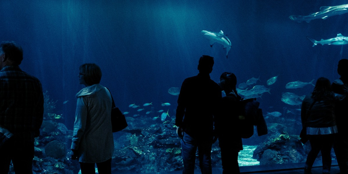 Saint-Malo Aquarium